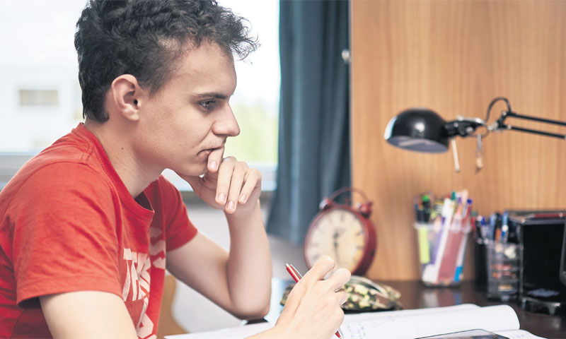 Igrači se mogu naći u ulozi proizvođača pekarskih proizvoda, lijekova, softvera, trgovca nekretninam