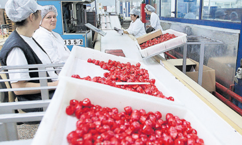 Radne snage na tržištu rada u županijama u kojima imamo proizvodne pogone za sada još ne nedostaje,