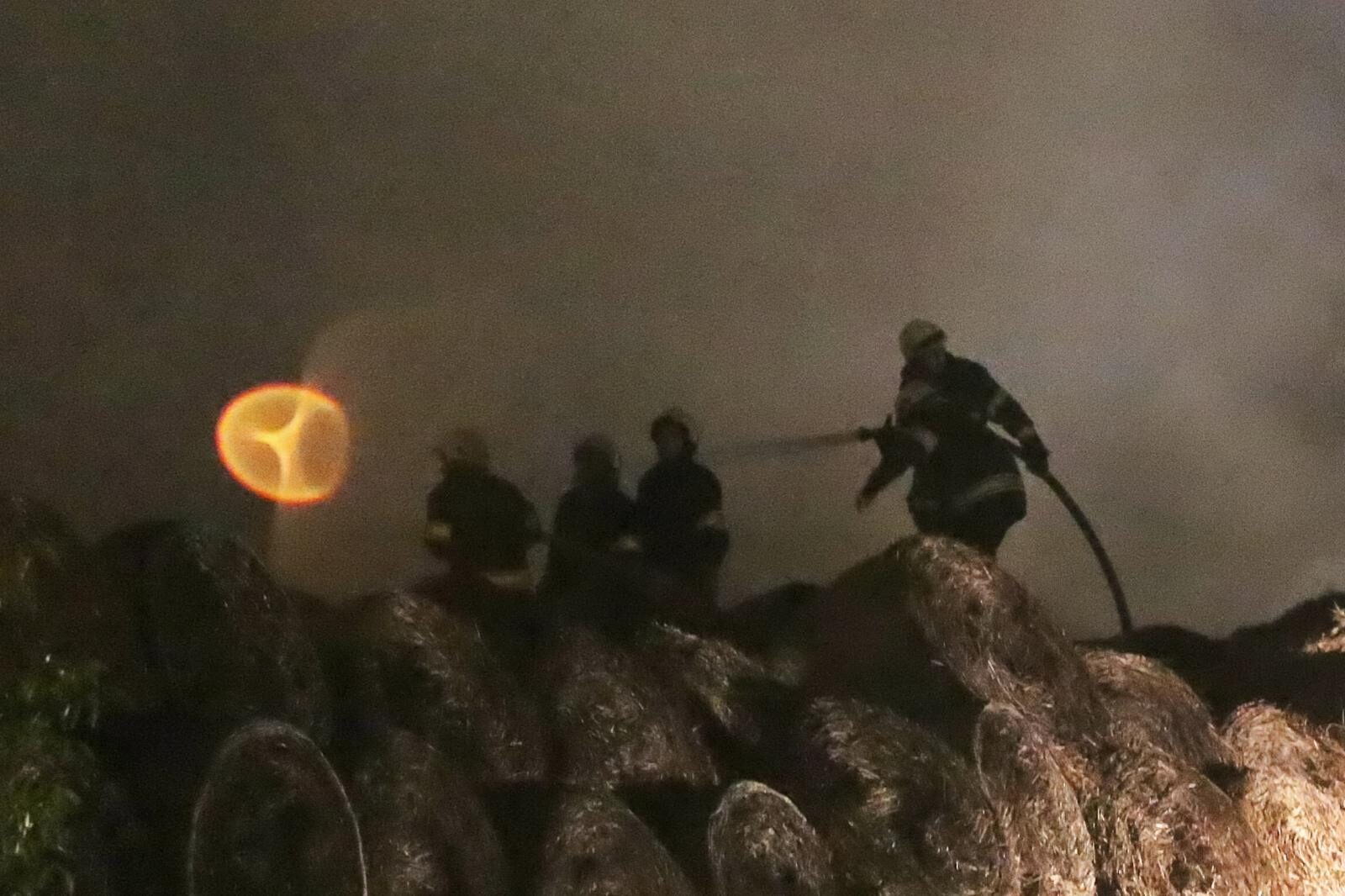 Foto: Tomislav Miletić / Pixsell