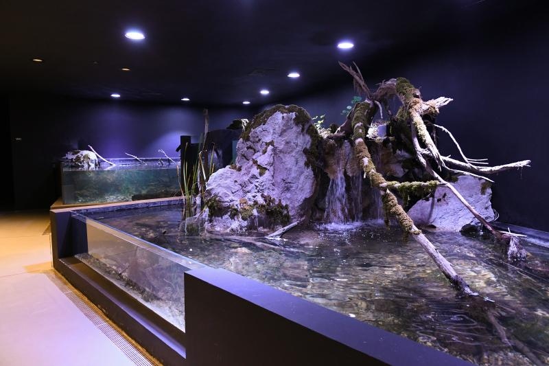 Foto: Davor Visnjic/PIXSELL