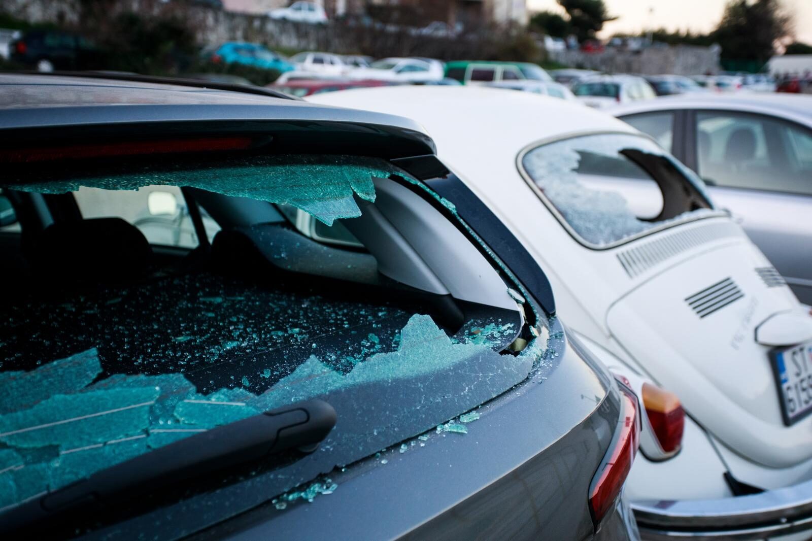 Foto: Milan Sabic/PIXSELL