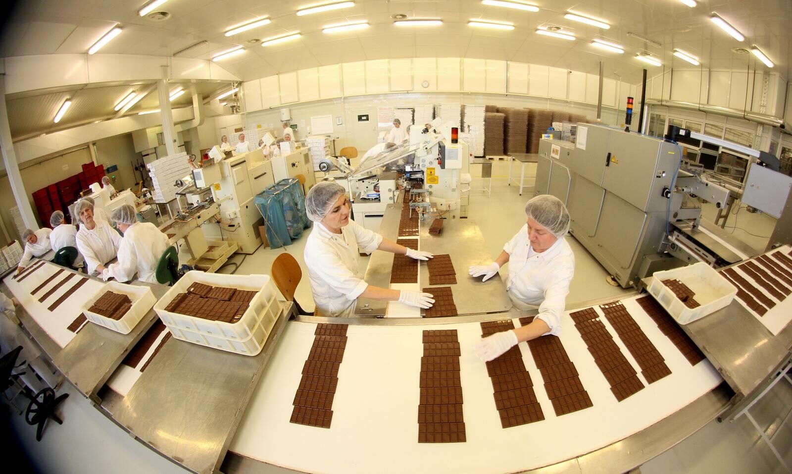 Foto: Boris Scitar/Vecernji list/PIXSELL