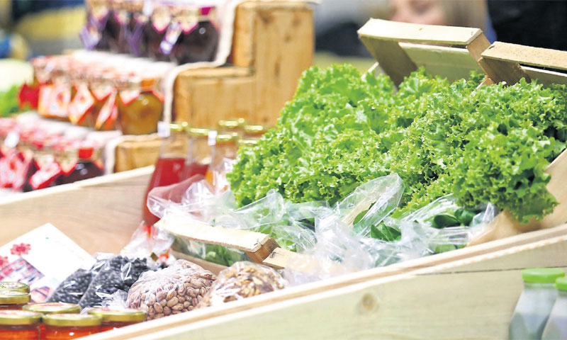 Prva GoGreen tržnica otvorena u Zagrebu, slijedi druga u Čakovcu pa u Osijeku i zatim u još pet grad