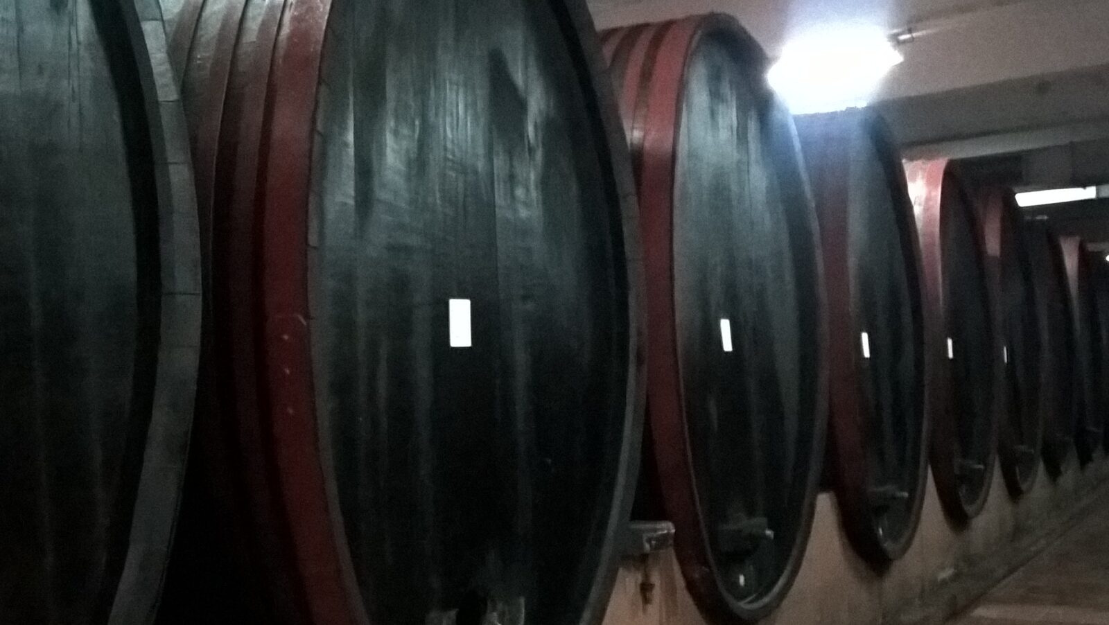 Foto: Marta Duić / PD