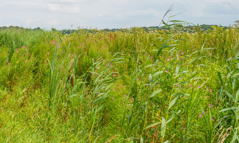 Država se odriče dijela imovine kako bi potakla ulaganja/Thinkstock