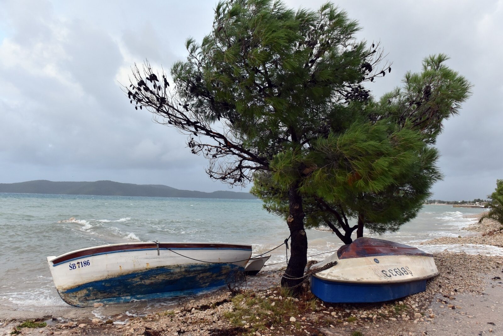 Brodarica u okolici Šibenika, Foto: Hrvoje Jelavić / Pixsell