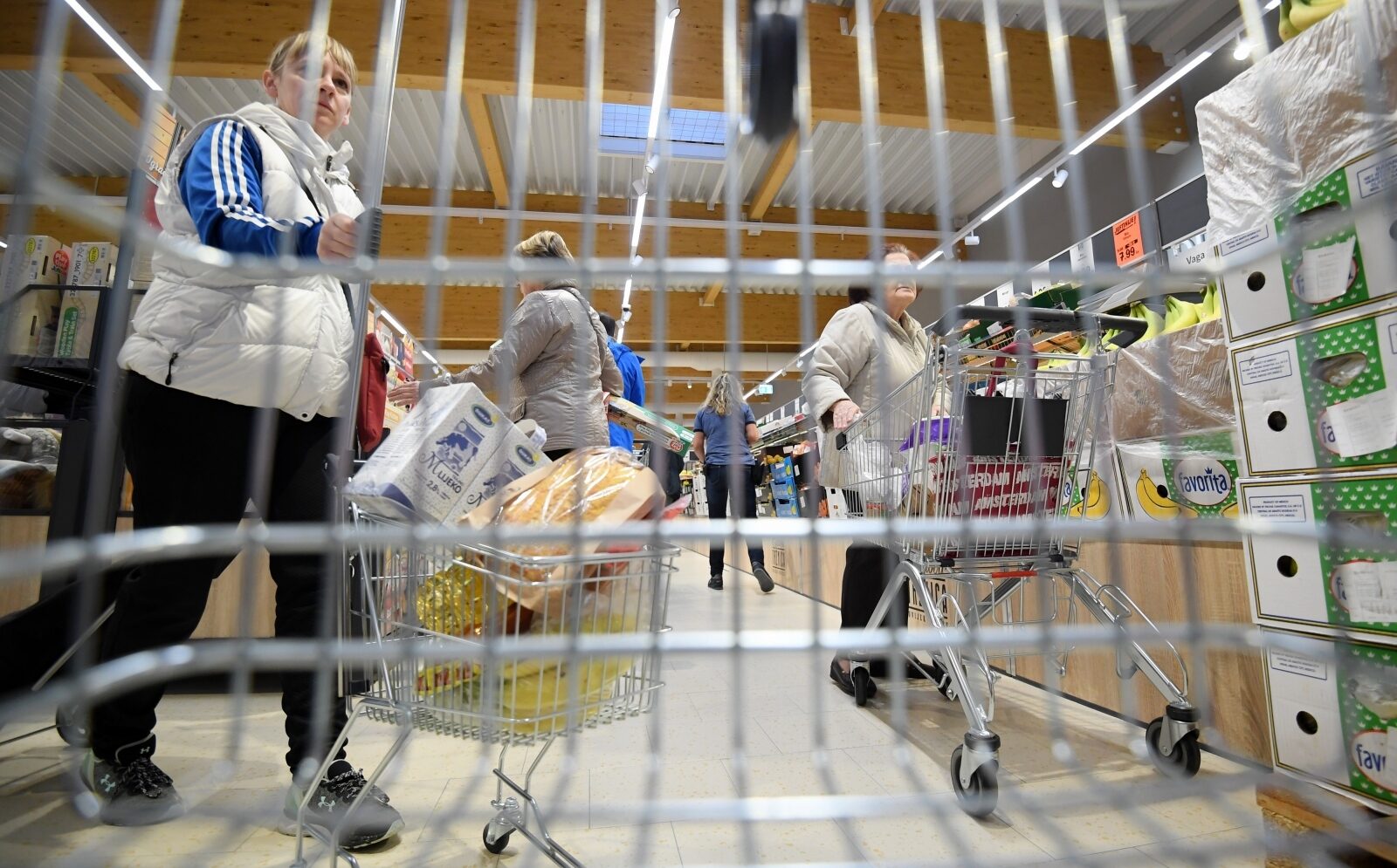 Foto: Marko Lukunić / Pixsell