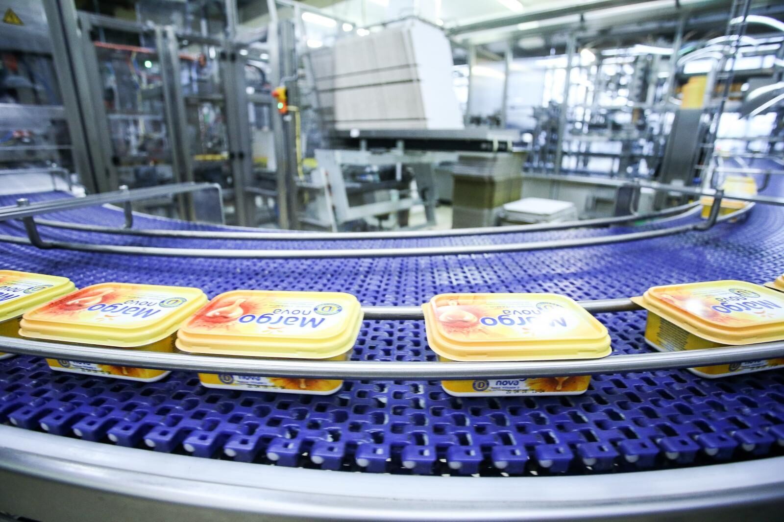 Foto: Petar Glebov / Pixsell