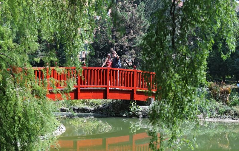 Foto: Sanjin Strukic/PIXSELL