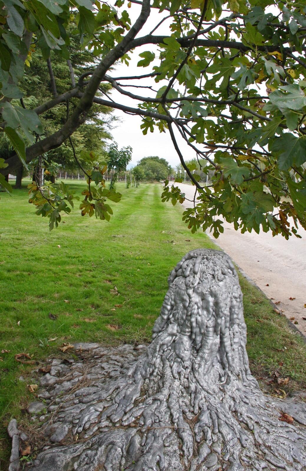 Foto: Ivana Ivanovic/PIXSELL