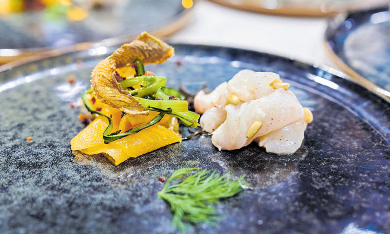 Iverak s pinjolima/AMINESS