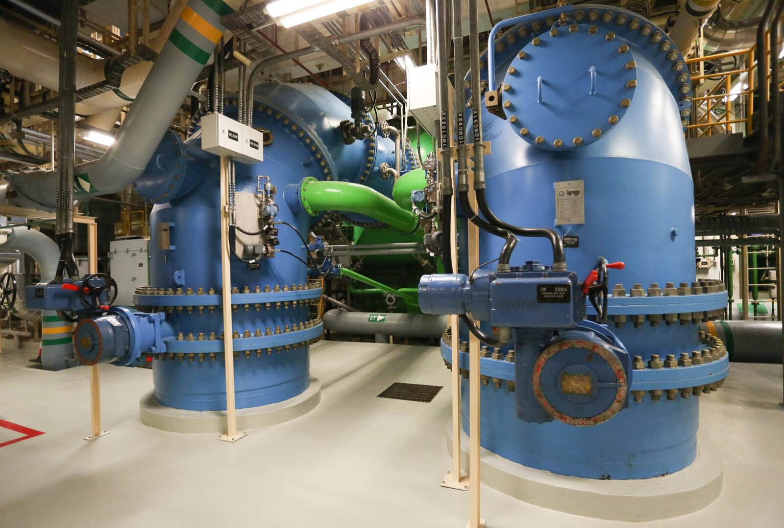 Foto: Marko Prpic/PIXELL