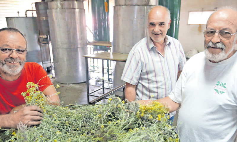 U 12 godina ministarstvo zadrugama dalo 83,1 mil. kuna za potpore/ Ivo Čagalj/PIXSELL