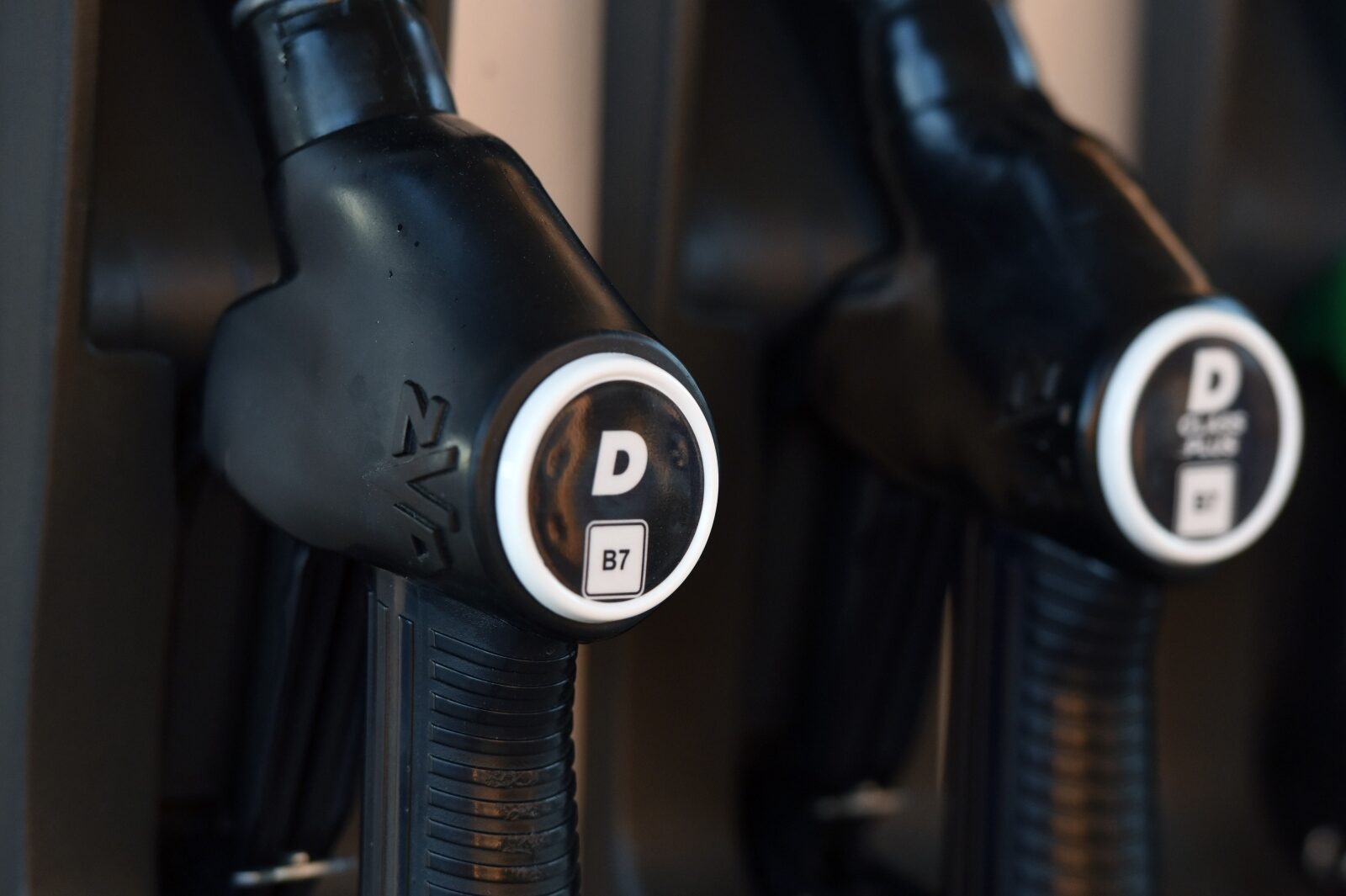 Foto: Hrvoje Jelavic/PIXSELL