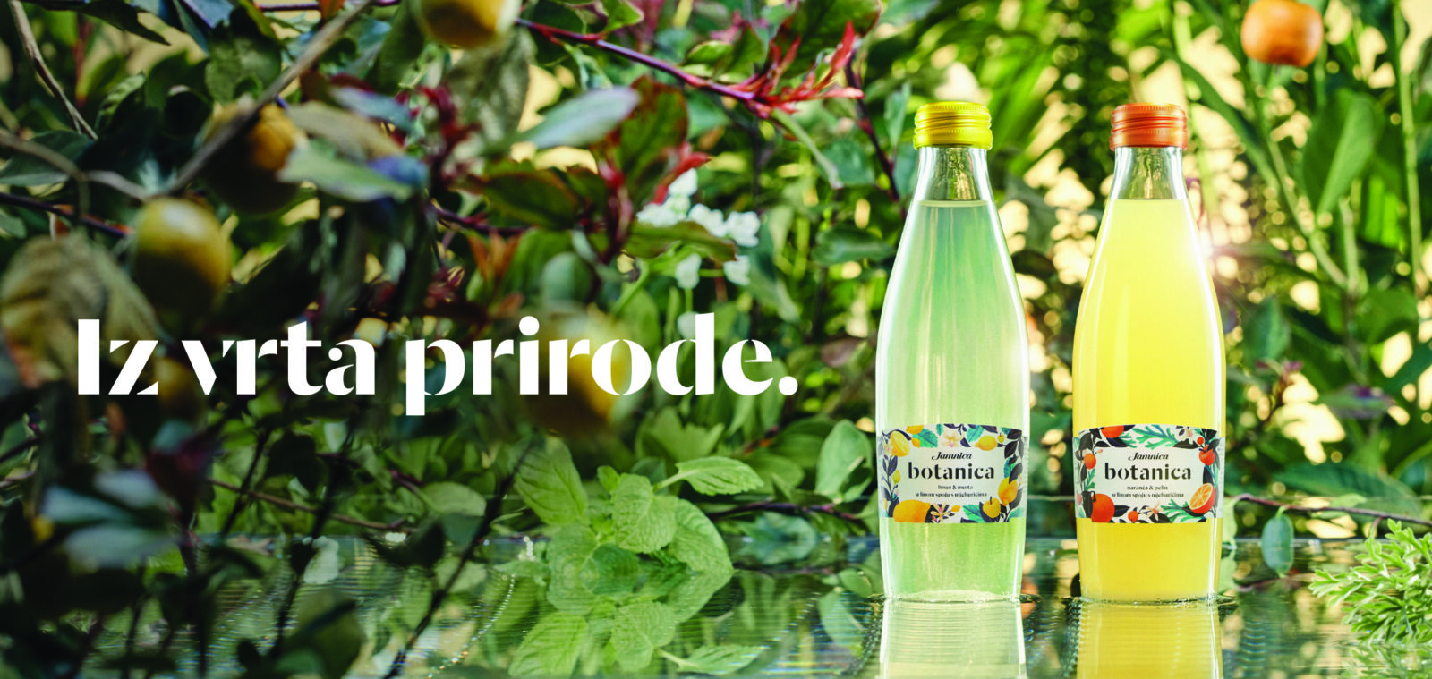 Jamnica Botanica_tisak