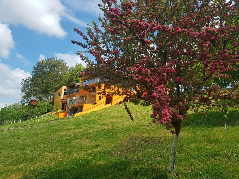 FOTO_Arhiva Ladanjska kuća Maras