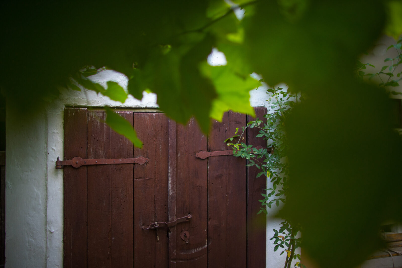 FOTO_Dražen Bota_02_Kuća za odmor Weinrauch