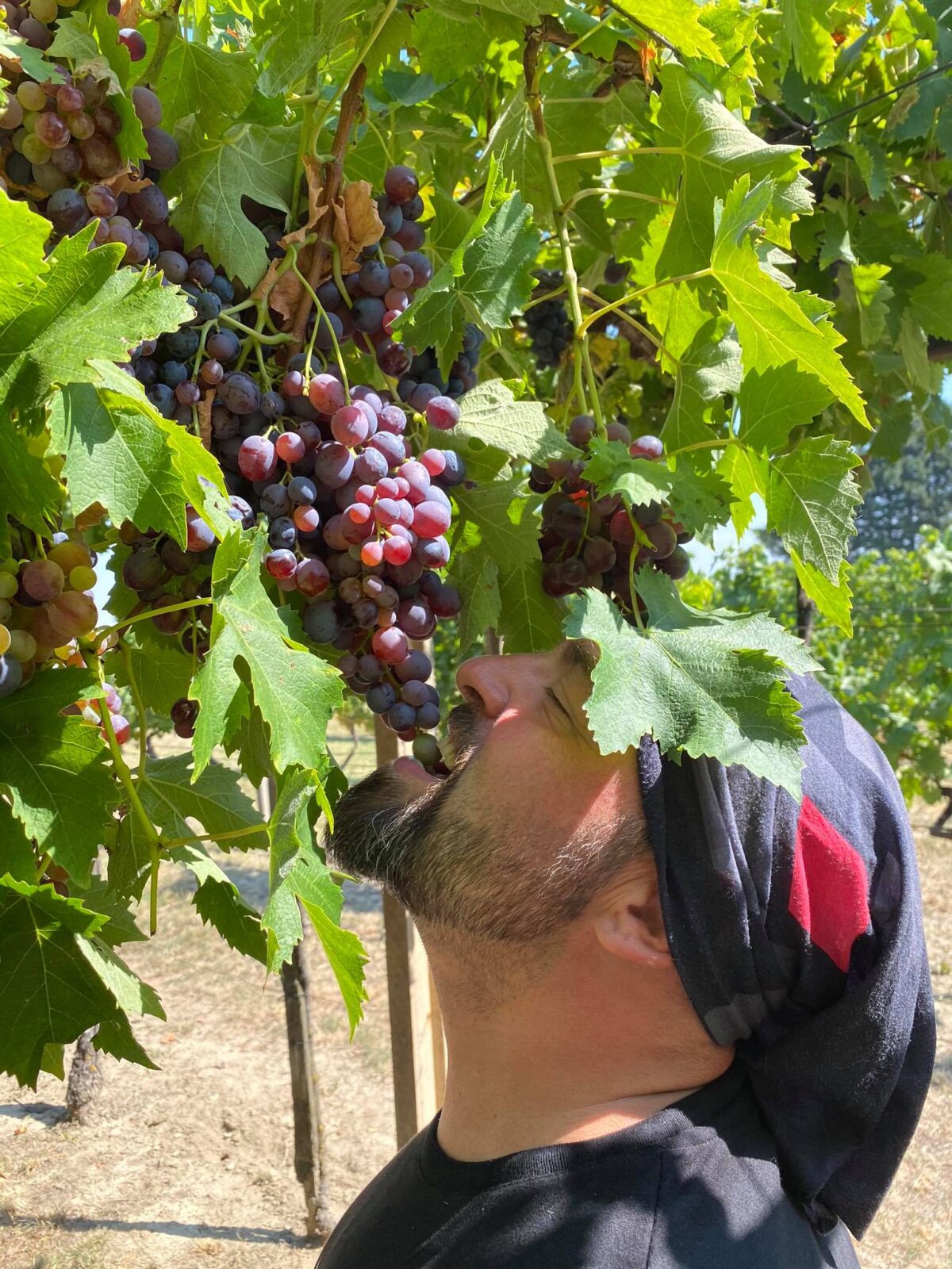 Foto - Arhiva TZ OBŽ (7)