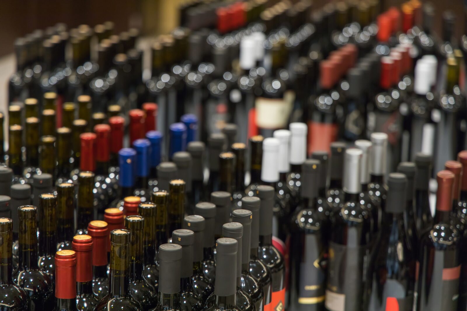 Vinistra_2021_svijet malvazije_1_01