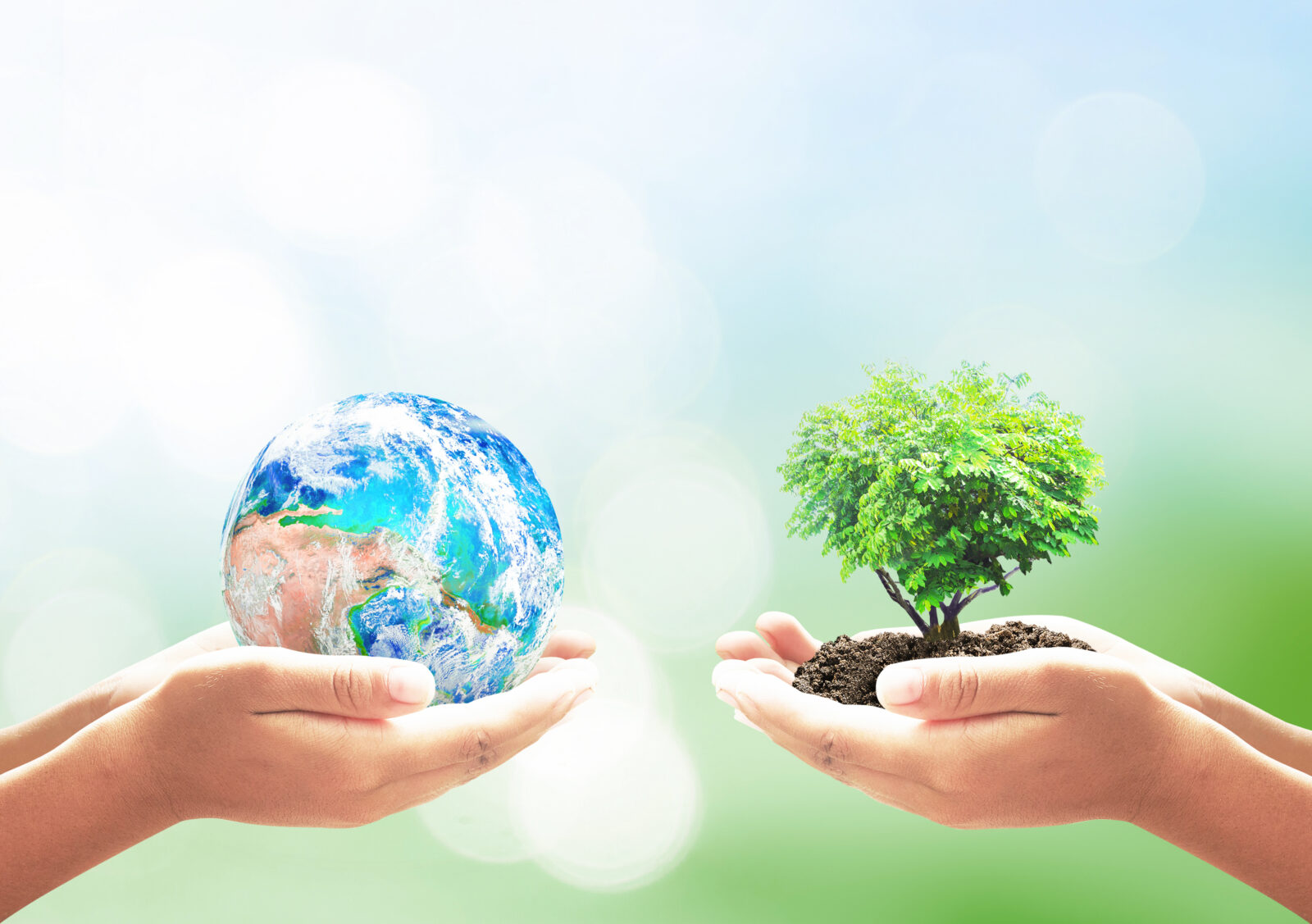 World,Environment,Day,Concept:,Two,Human,Hands,Holding,Earth,Globe