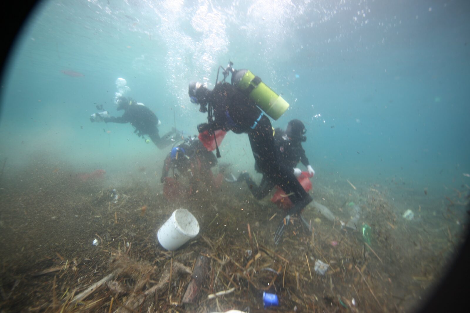 Trstenik ronioci ciscenje podmorja 251110.