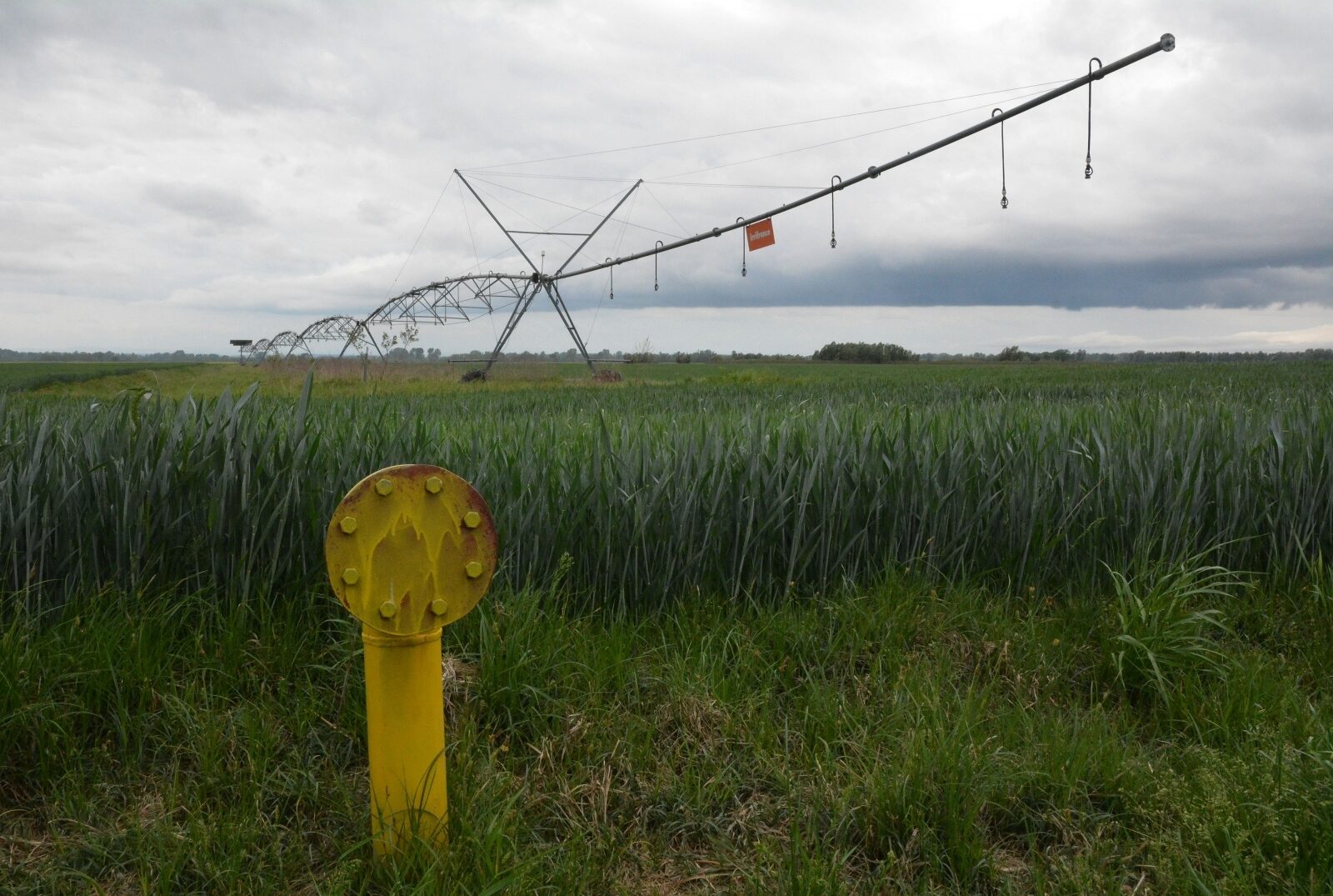 Sustav za navodnjavanje velikih poljoprivrednih površina