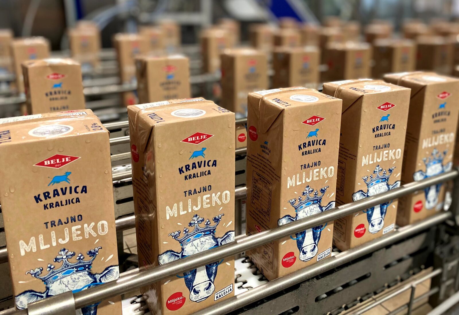 Kravica_kraljica_mlijeko