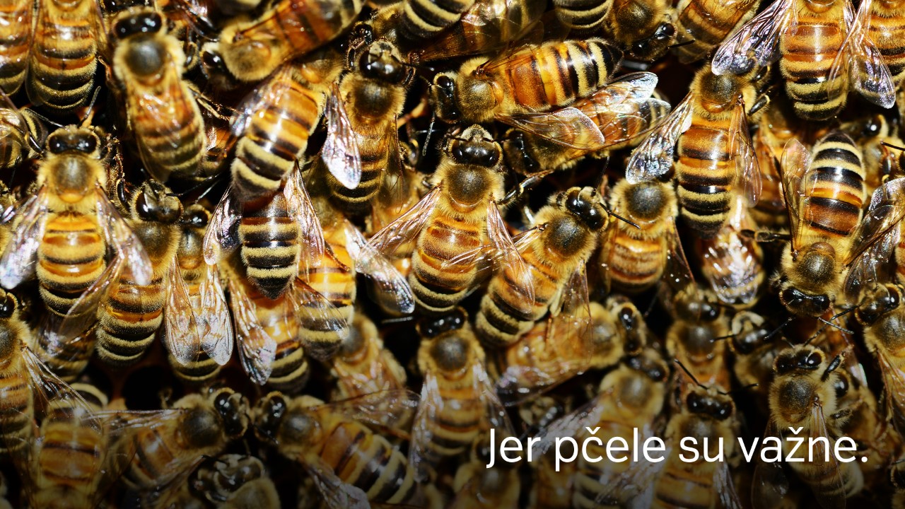 thumbnail_Teaser_clanak03