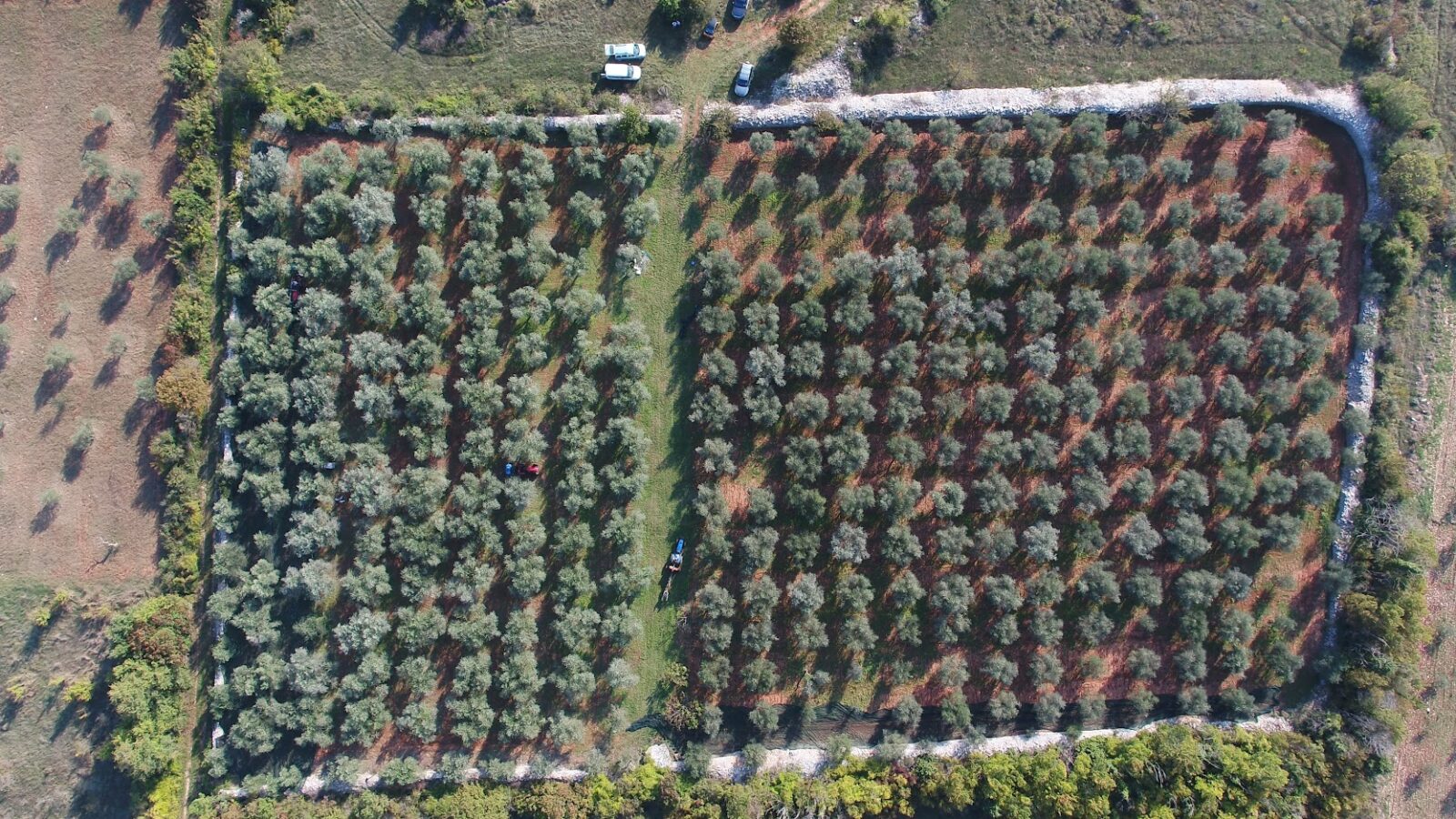 Chiavalon_DRON_.00_06_02_20.Still002