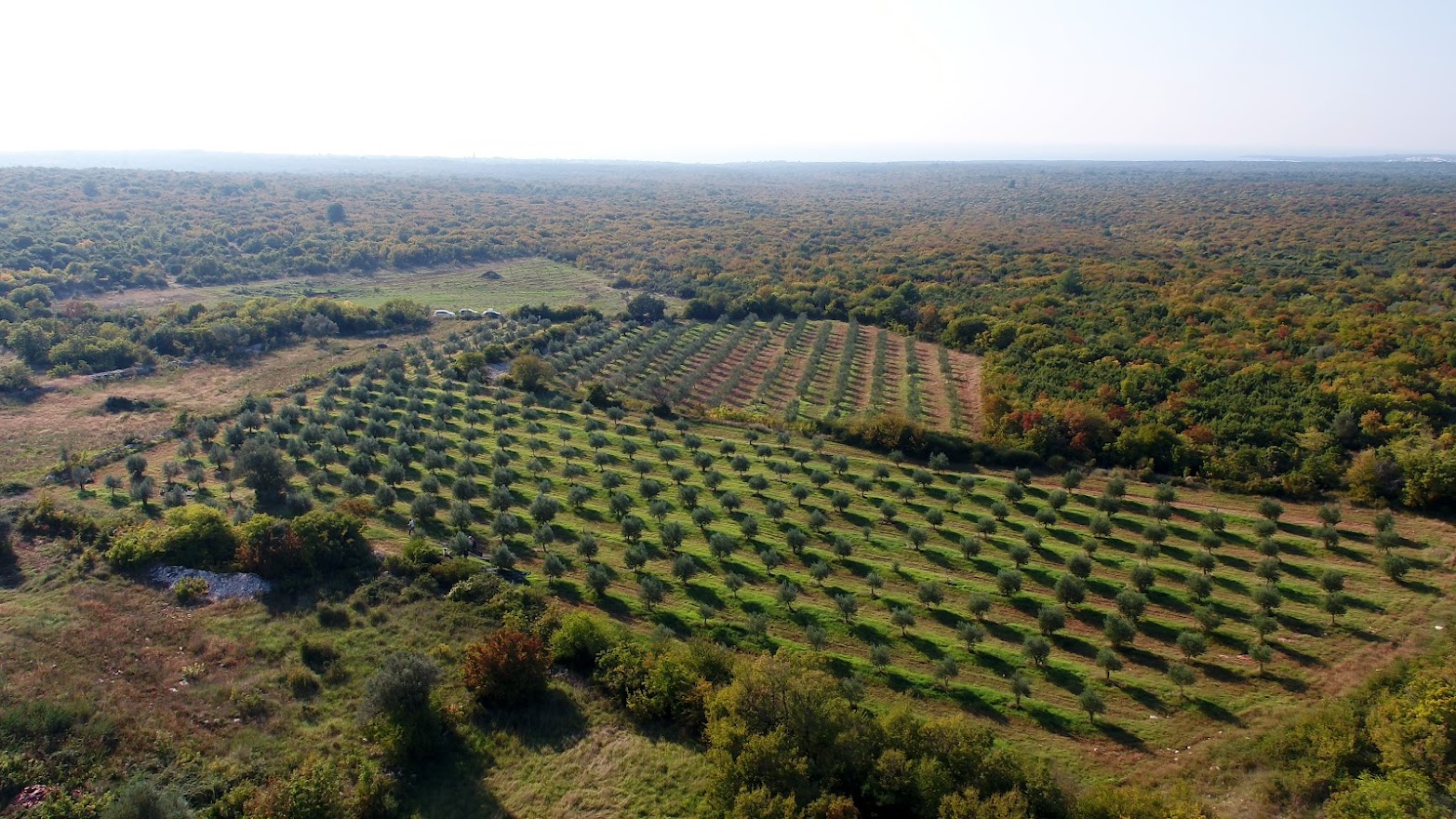 Chiavalon_DRON_.00_37_52_21.Still012