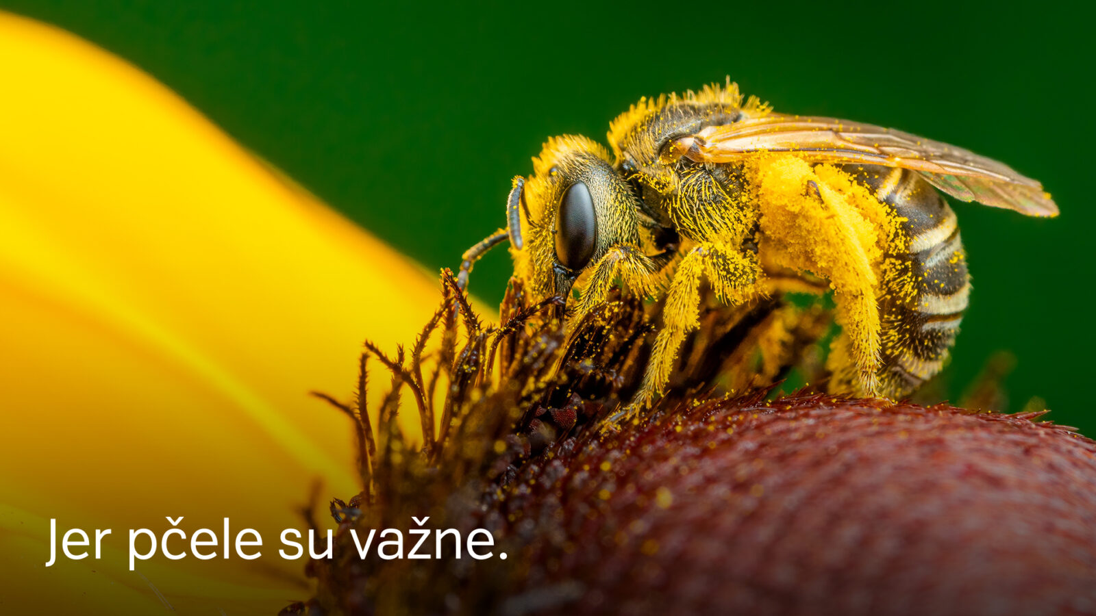 Teaser_clanak05 (1) (1)