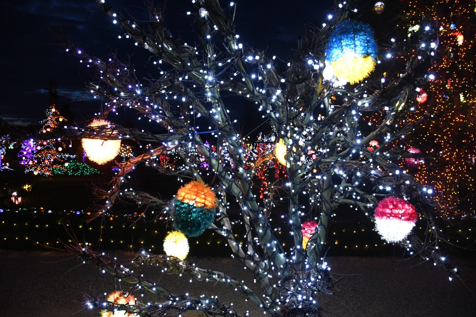 Covid ugasio i Uskrsnu priču čime će najraskošnije hrvatsko imanje obitelji Salaj ostati u mraku