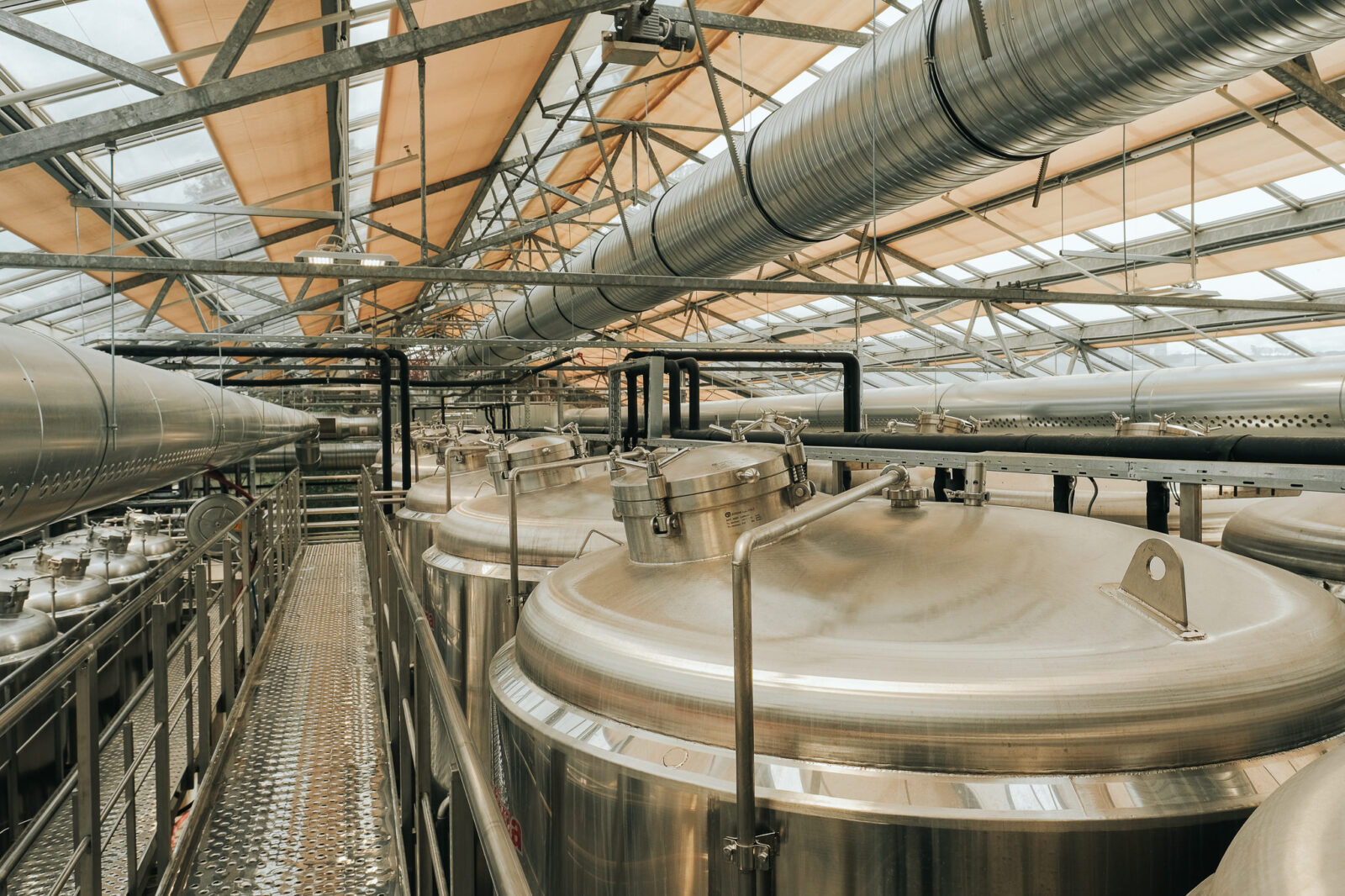 TGB-Brewery-photo by Mirna Pribernik14