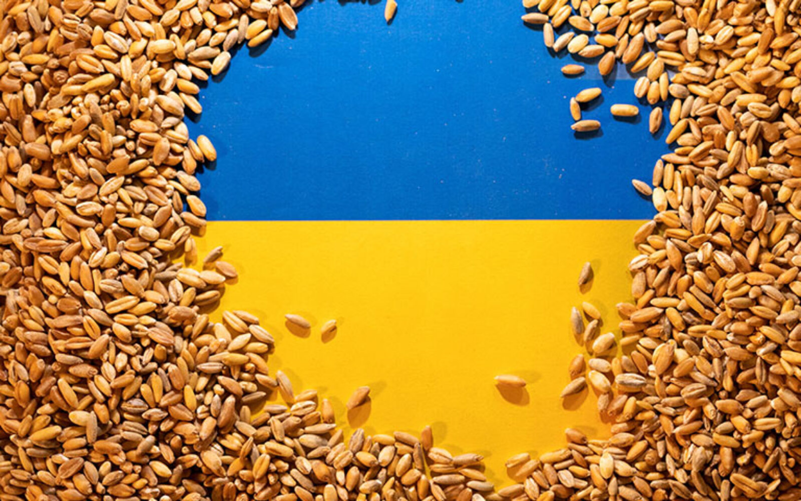 Britanija traži način kako izvesti ukrajinsko žito - Poslovni dnevnik