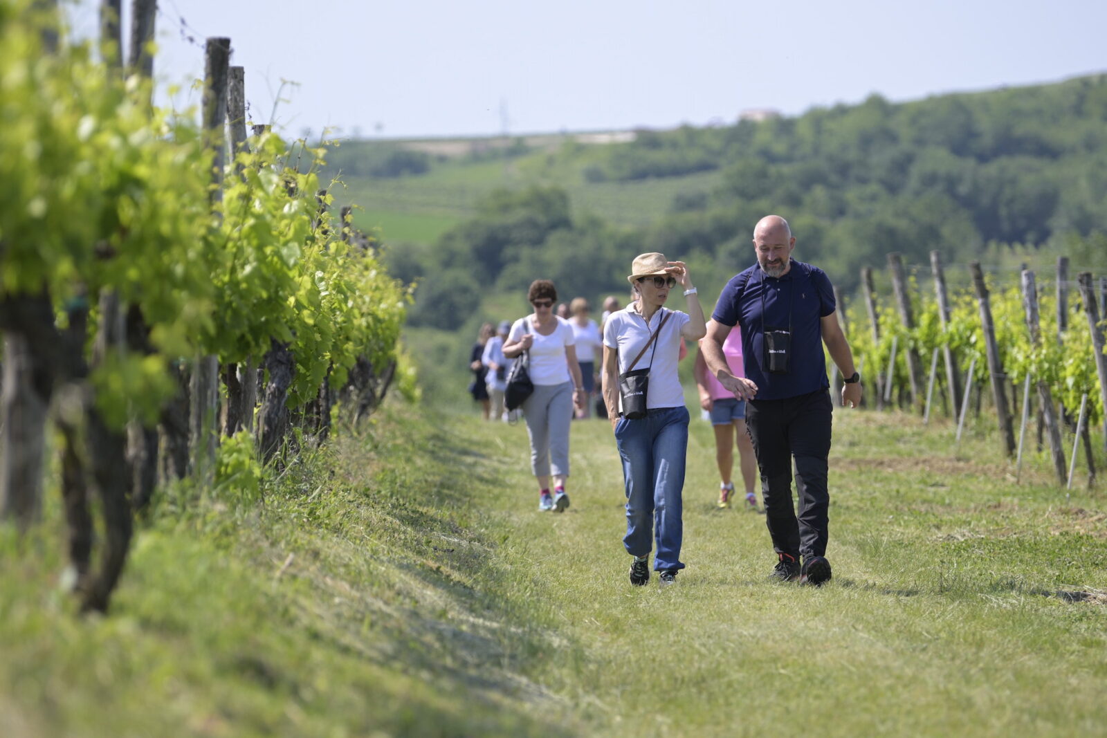 Istria Wine and Walk 2022(2)