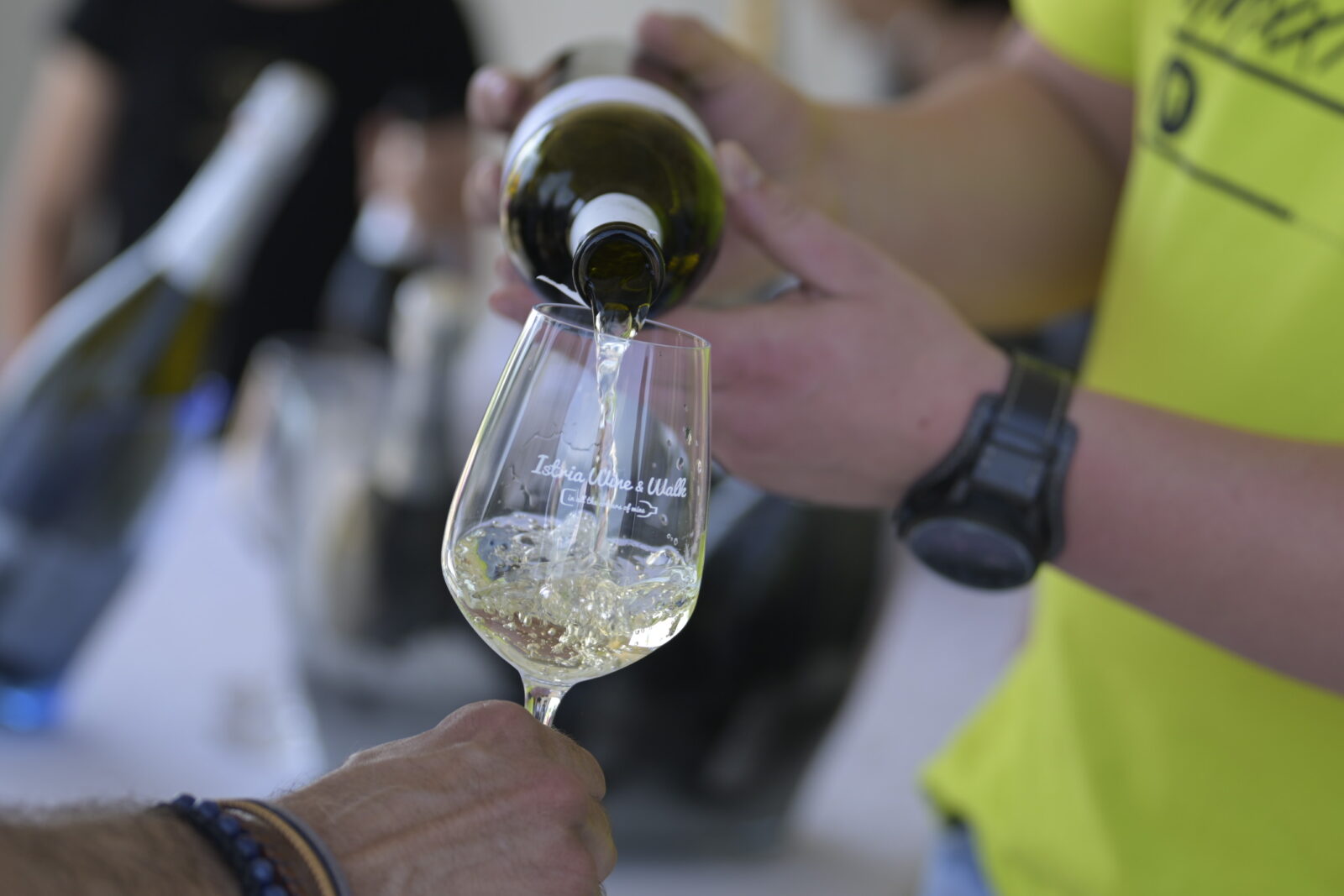 Istria Wine and Walk 2022(4)