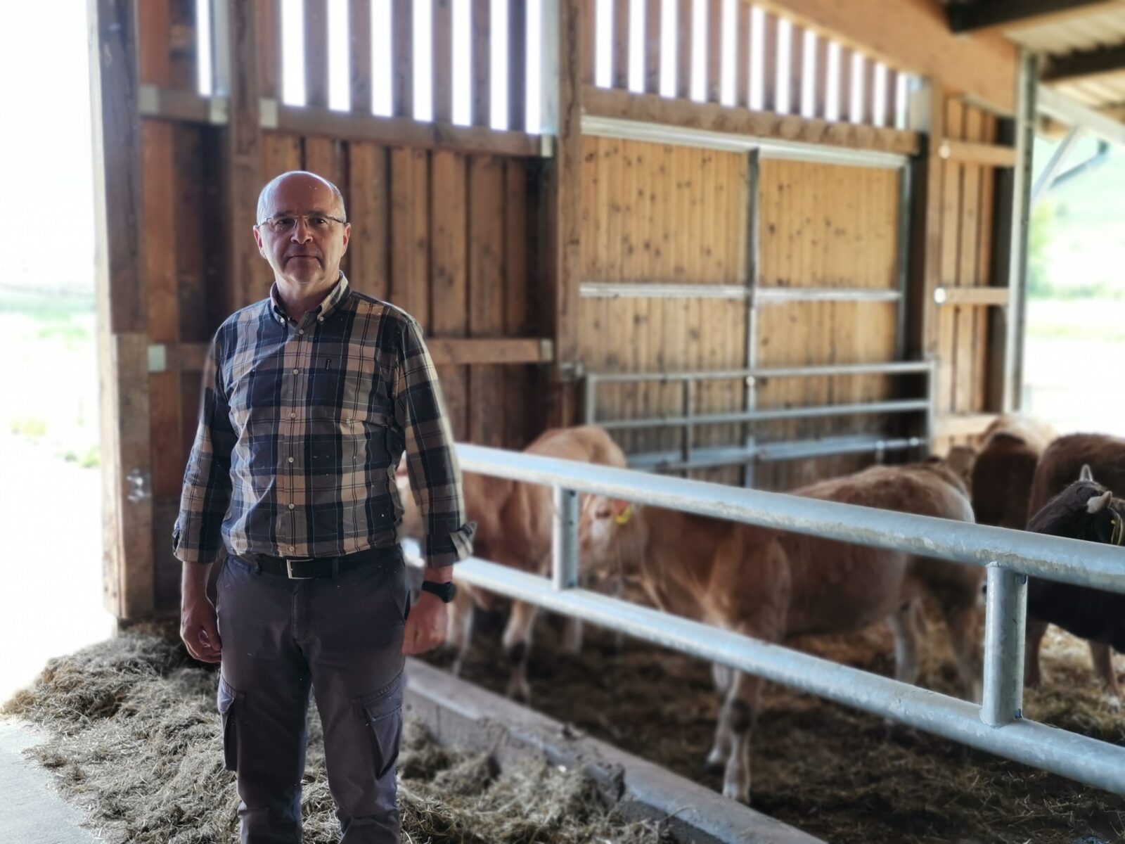 Mladen Kušeković (4)