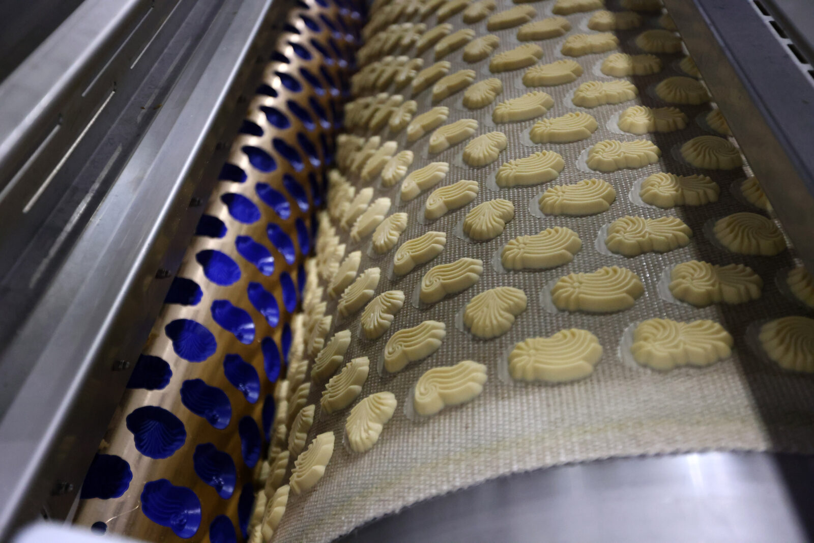 Čapljina: Tvornica za proizvodnju keksa i vafla 