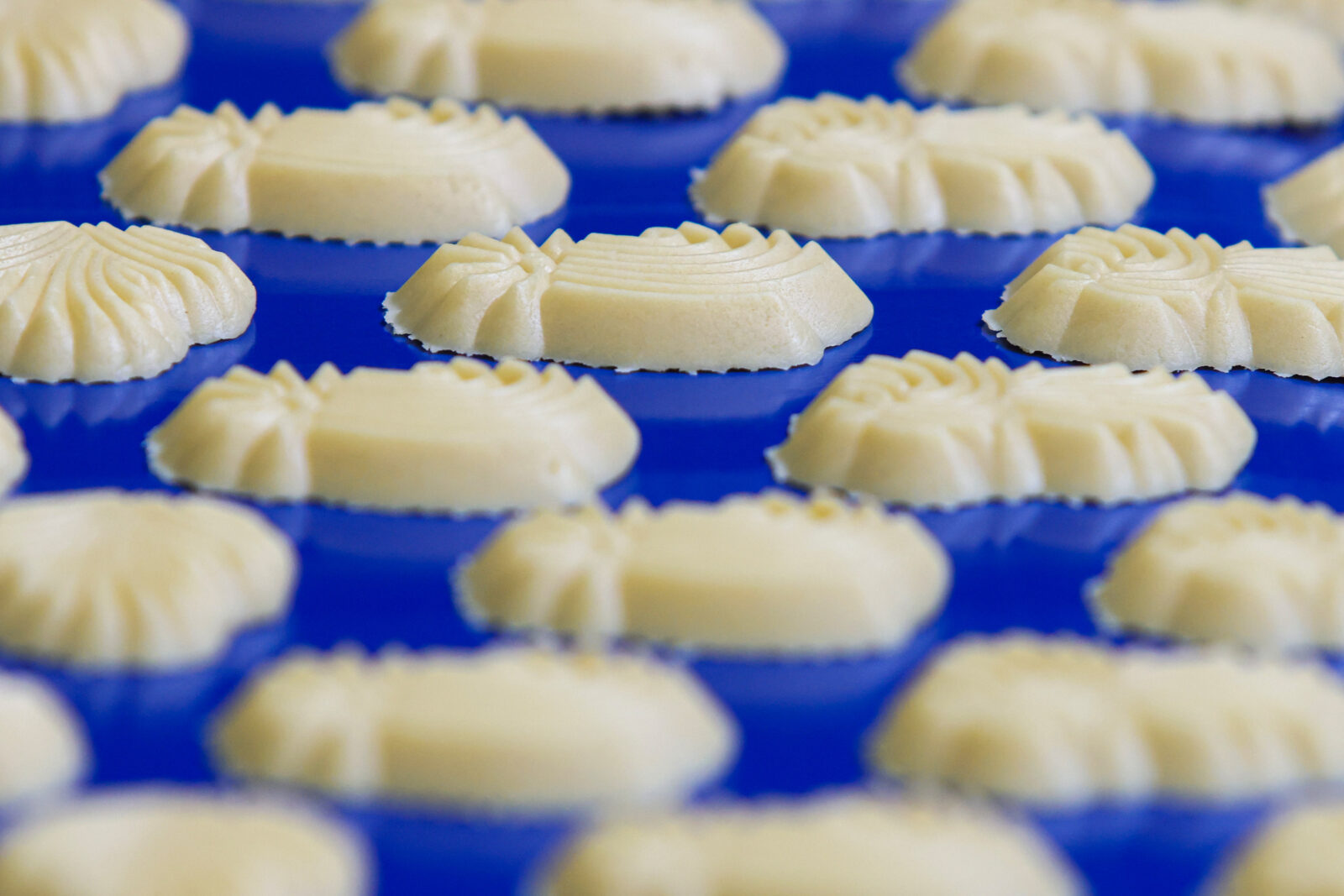 Čapljina: Tvornica za proizvodnju keksa i vafla 