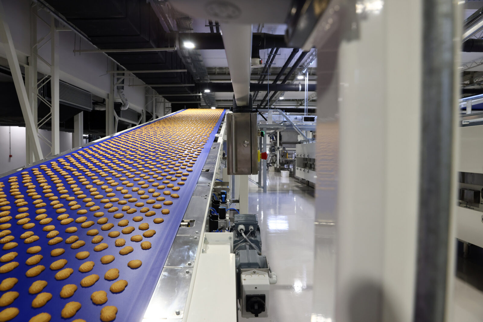 Čapljina: Tvornica za proizvodnju keksa i vafla 