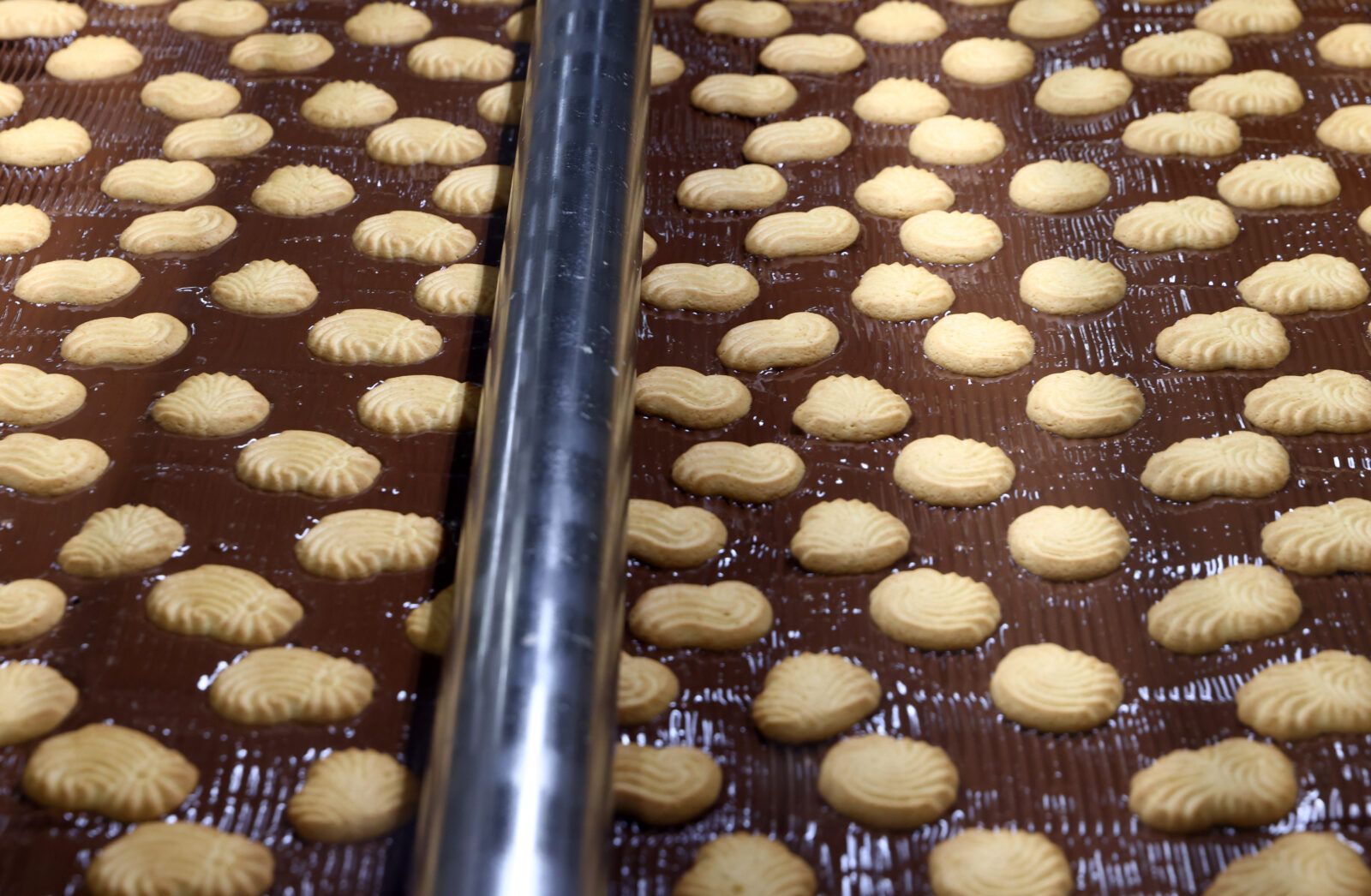 Čapljina: Tvornica za proizvodnju keksa i vafla “Lasta” ponovno započela proizvodnju