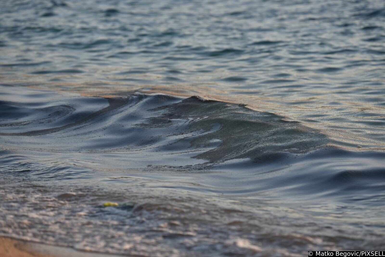 Mušice preplavile more na plaži Donja Luka u Makarskoj