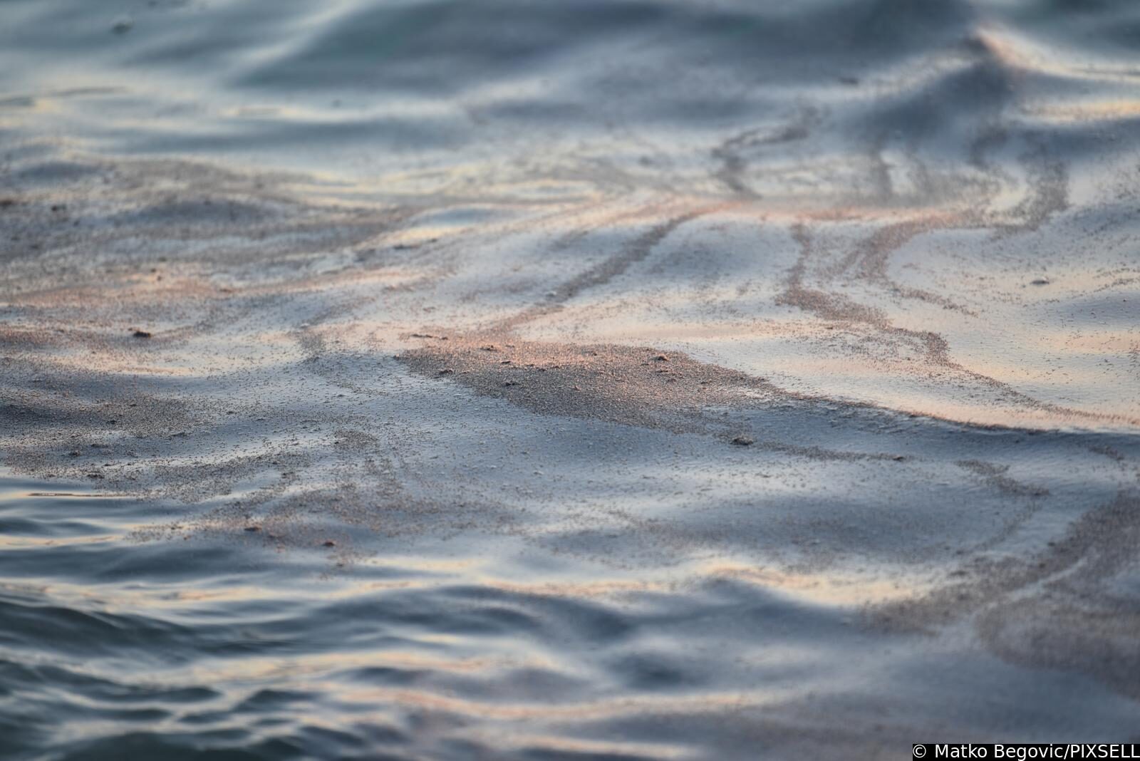 Mušice preplavile more na plaži Donja Luka u Makarskoj