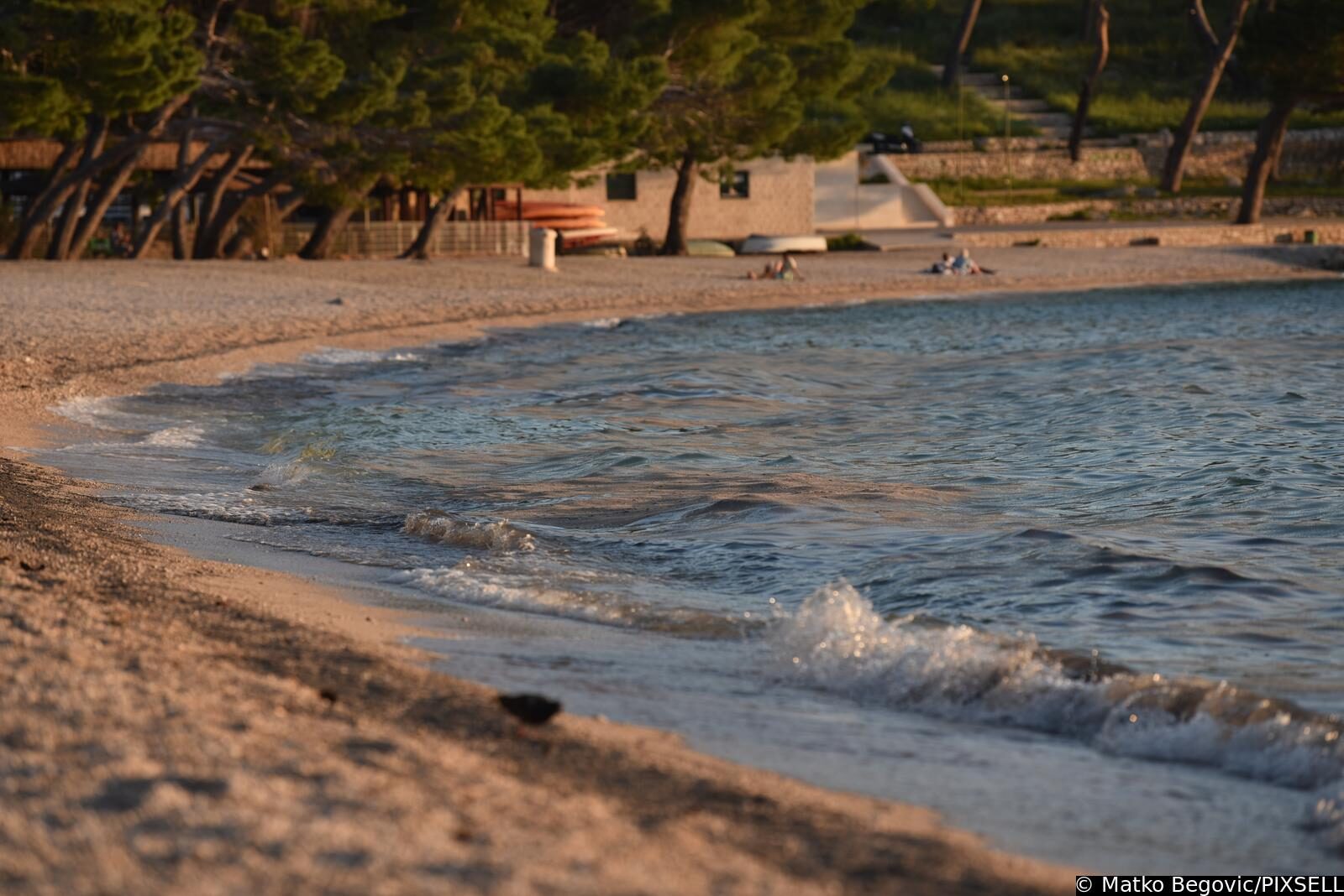 Mušice preplavile more na plaži Donja Luka u Makarskoj
