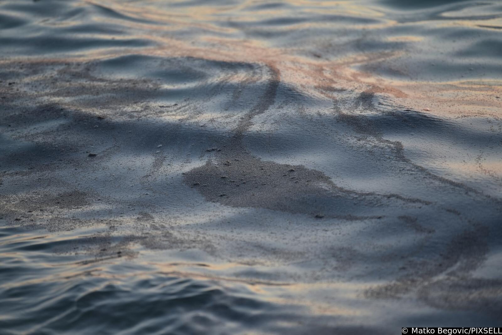 Mušice preplavile more na plaži Donja Luka u Makarskoj