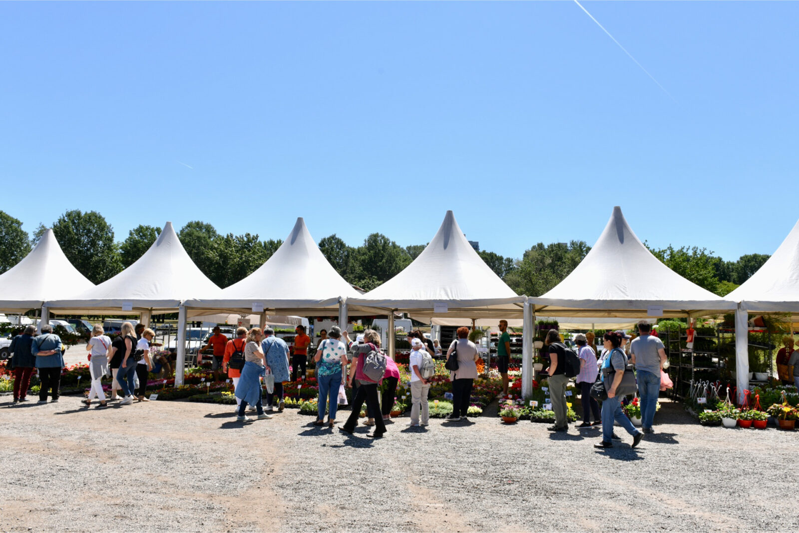 Svečano otvoren 56. Floraart-3