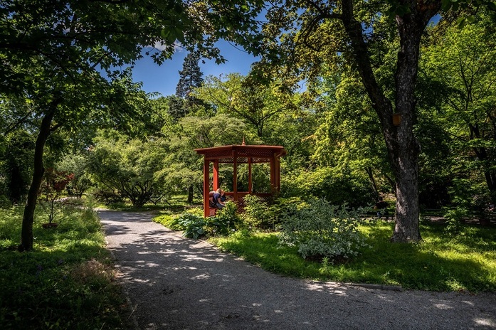 Botanički vrt_Julien Duval