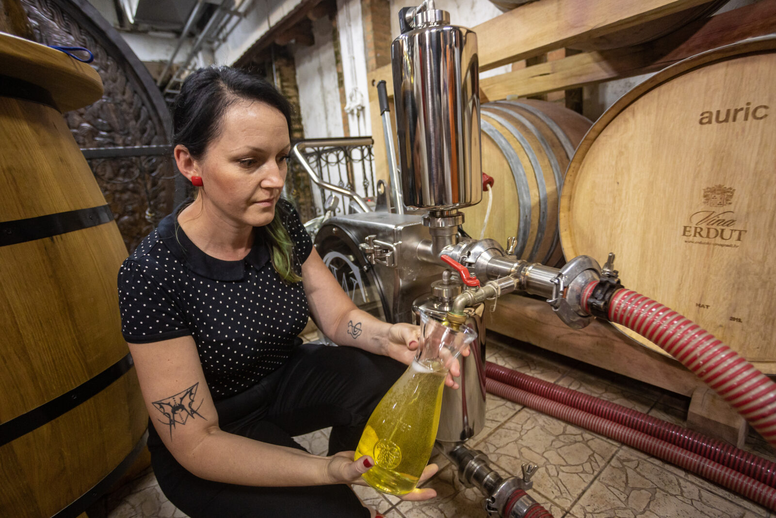 Erdut: Konferencija za novinare povodom otvaranja Velike bačve