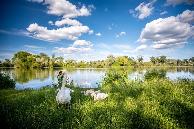 Savica jezera_Julien Duval