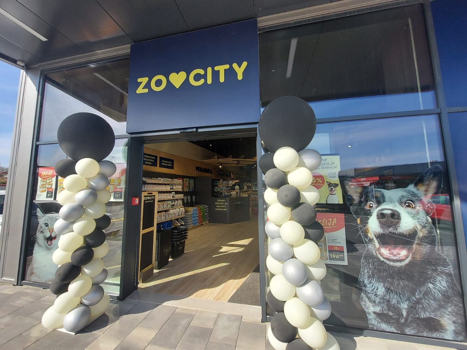 1 ZOOCITY